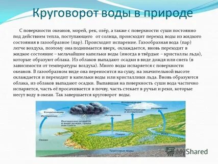 Вода покрывает почти 3 4 поверхности