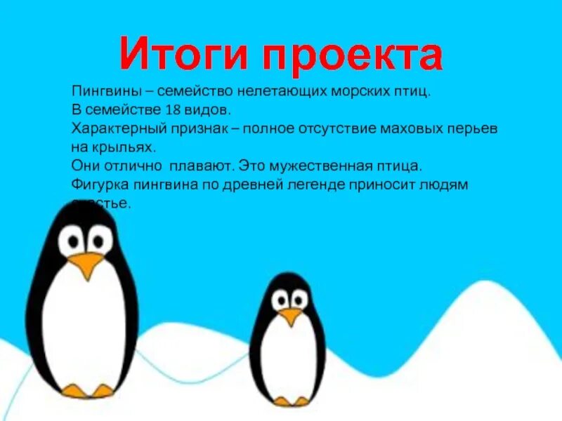 Что значит пингвин. Факты о пингвинах. пингвин для детей. проект на тему пингвины. доклад про пингвинов.