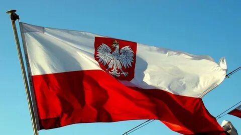 Флаг польши картинки