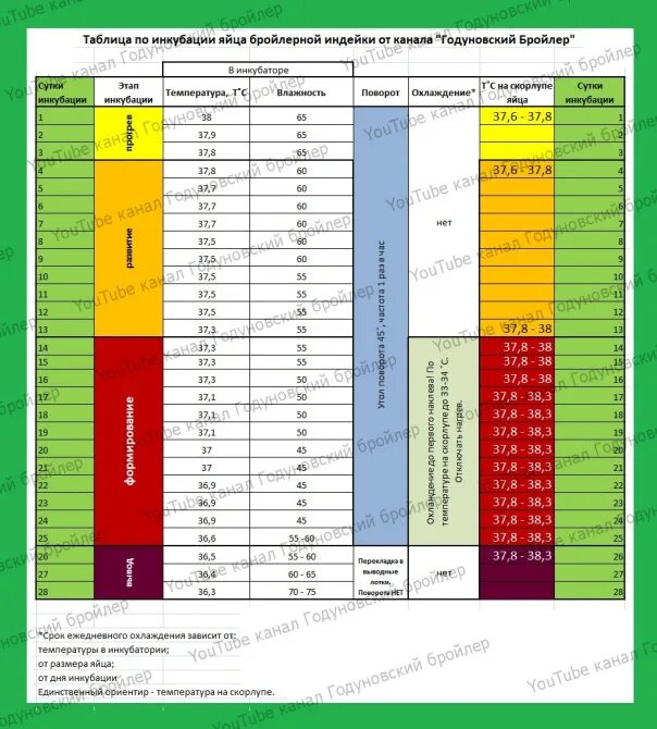 Таблица инкубации бройлерной индейки. Таблица инкубации индейки Годуновский. Схема инкубации бройлерных яиц таблица. Таблица инкубации индюшиных яиц. Таблица инкубации индюшиных яиц в инкубаторе