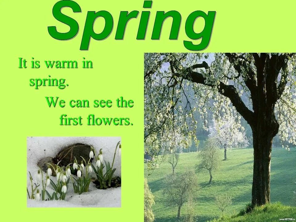 Was the best in spring. Весна на английском. Занятие по английскому на тему Весна. Презентация времена года. Проект про весну на английском.