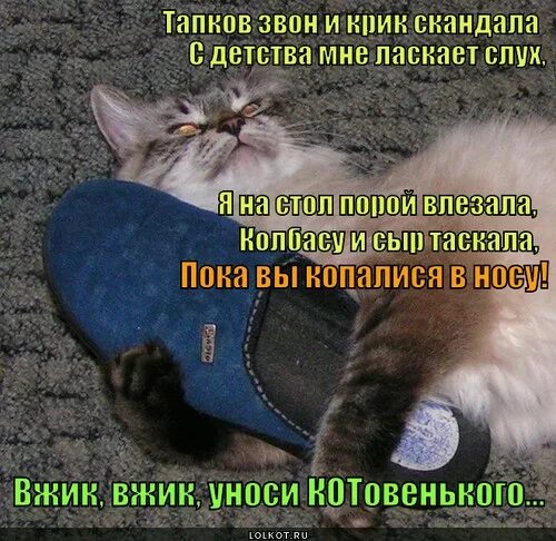 Вжик вжик уноси готовенького из какого. Вжик вжик вжик уноси готовенького. кот вжик. песня вжик вжик уноси готовенького. вжик и больше не мужик.
