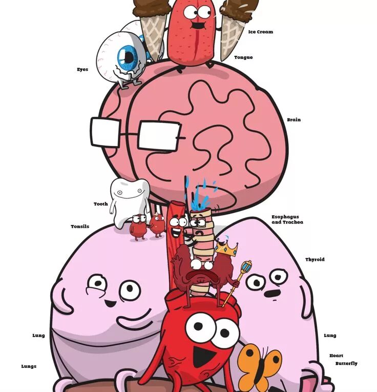 Heart and brain