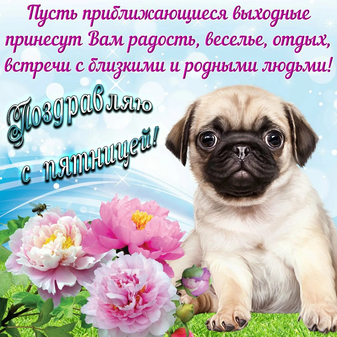 Доброе утро хорошей пятницы и отличного настроения. Поздравление с пятницей. поздравления с пятницей открытки. открытки хорошего дня и отличного настроения. поздравление с пятницей прикольные.