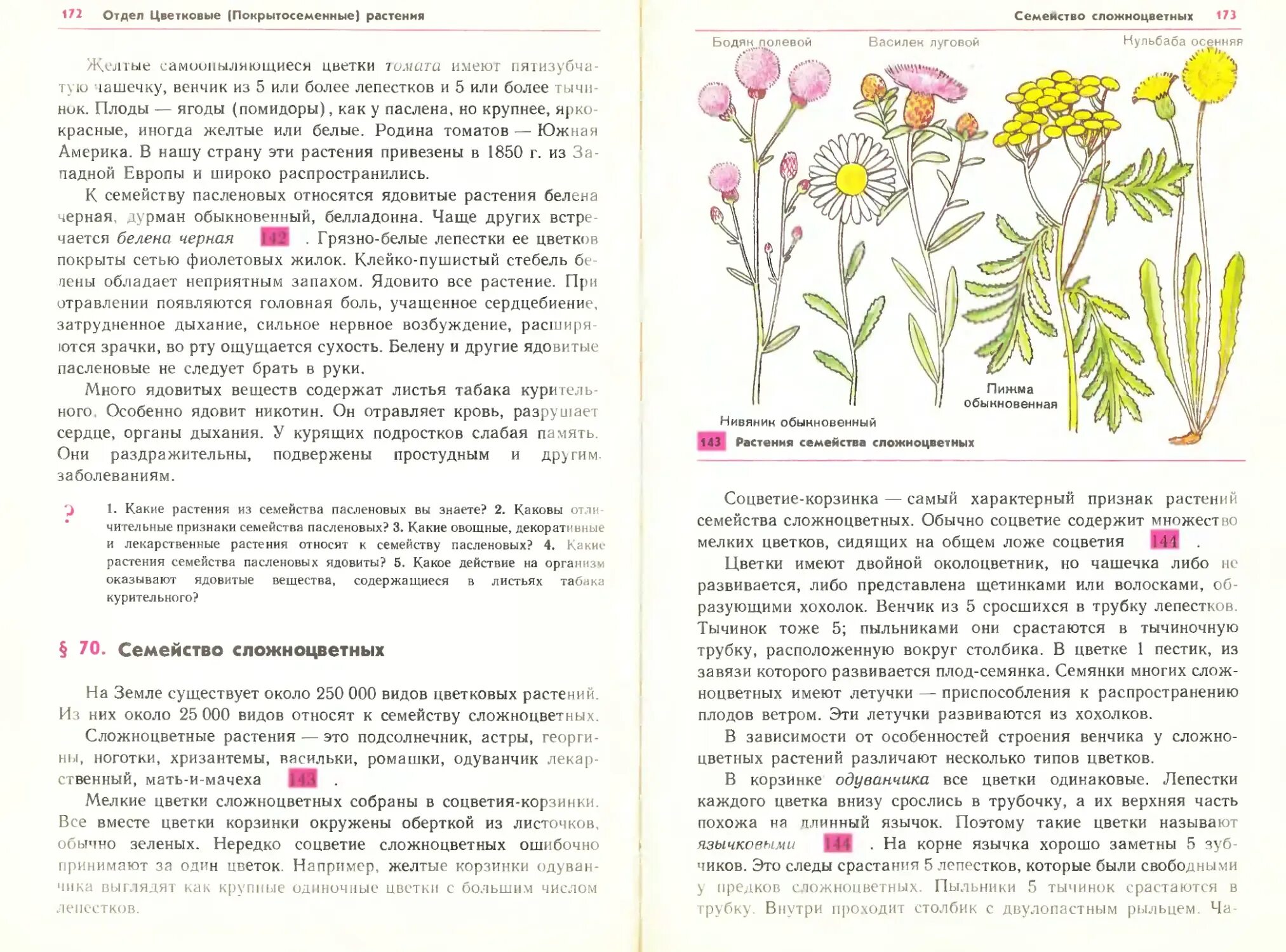 Василек сложноцветные растения. Листья семейства астровые. Хохолок сложноцветных. Лечебные растения казахстана. Хозяйственное значение представителей семейства астровые.