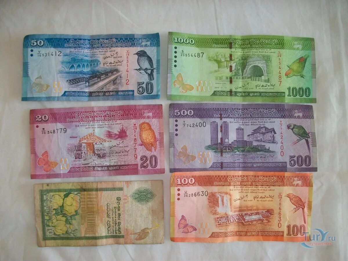 Банкнота шри ланка 20 рупий. Рупии шри ланка купюры 500. Какие деньги брать на шри ланку. Наборы купюр шри-ланки. Валюта шри ланки.
