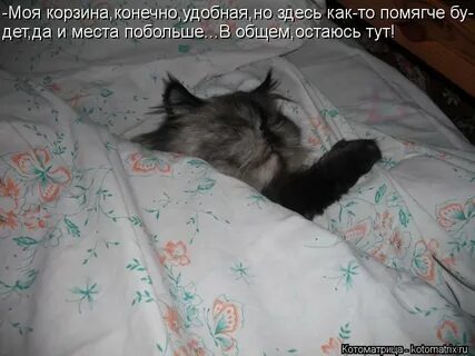 Где ночевать