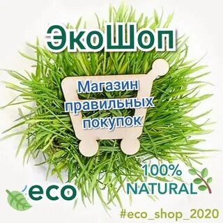 Эко слово