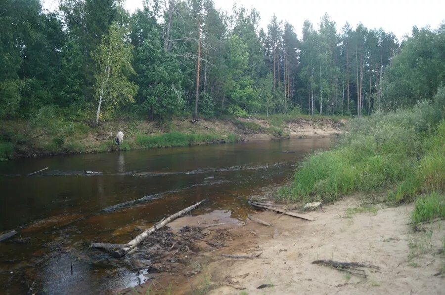 Большая Какша река. Река Какша Нижегородской области. Река малая Какша Нижегородская область. Сява река Какша.