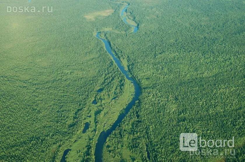 Океан тайги. Штат орегон побережье. Океан тайги. Река лена ленские столбы. Океан тайги.