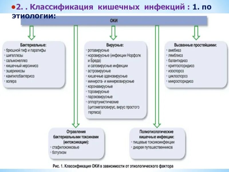 Метод диагностики кишечных инфекций. Классификация острых кишечных инфекций. классификация острых кишечных вирусных инфекций. классификация острых кишечных заболеваний. классификация острых кишечных инфекций собственные инфекции.