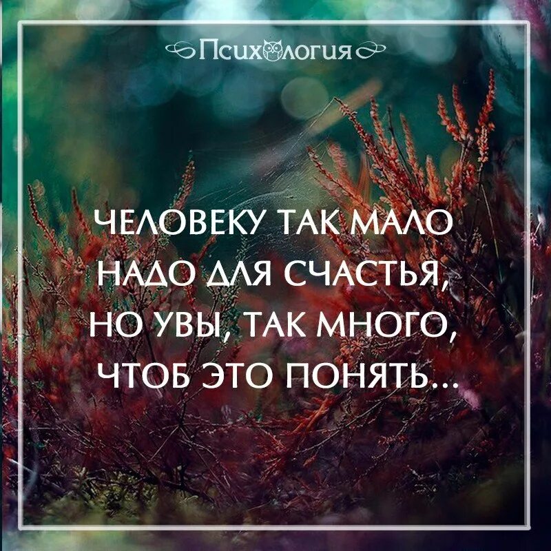 Выбор и случайность