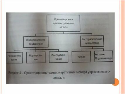Виды административно организационного управления