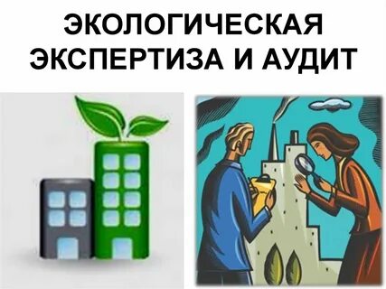 Экологический мониторинг экспертиза и аудит