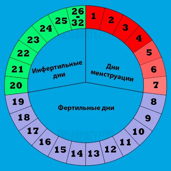 Рассчитать месячные. Фертильный период менструационного цикла. Безопасные дни цикла. Календарь фертильности. Менструальный цикл безопасные дни.