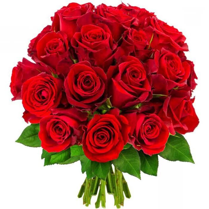 Rose8flower. Букет роз в охапку. Букет из роз. Красные цветы букет. Шикарный букет красных роз.