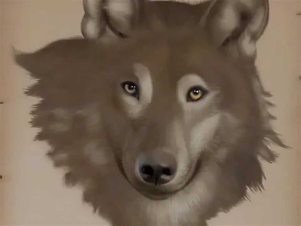 песня волчонок маршал