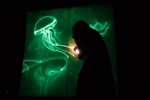 Световая картина