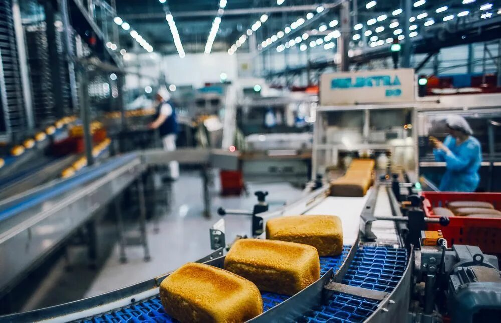 Хлеб на конвейере. Конвейер хлебобулочного производства. Конвейер для хлебобулочных изделий. Цех хлебобулочных изделий. Хлеб цех