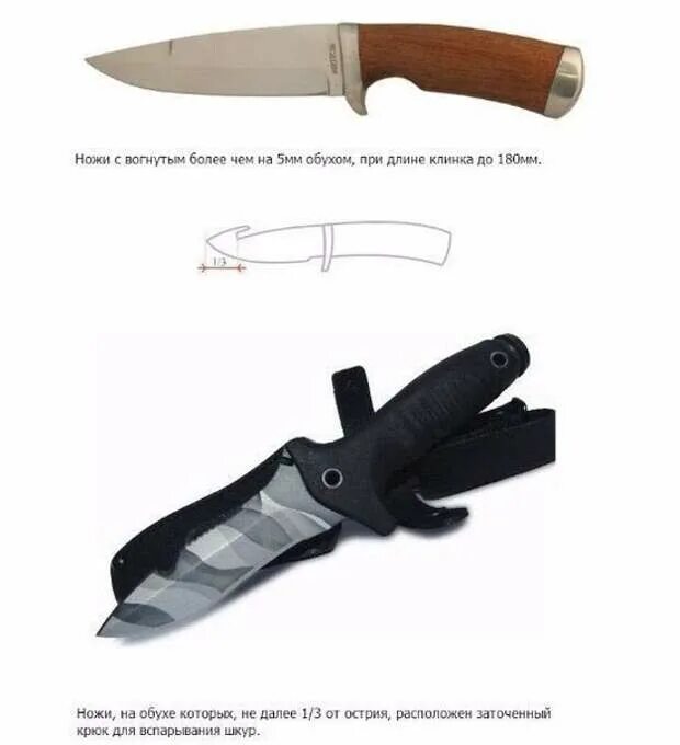 Какая длина ножа считается холодным. Вогнутый нож. Обух ножа. Нож который является холодным оружием. Нож не Холодное оружие.