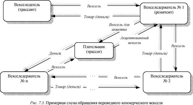 Вексель система. Вексельное право структура векселя. Структура переводного векселя. Вексельная схема. Векселедатель переводного векселя.