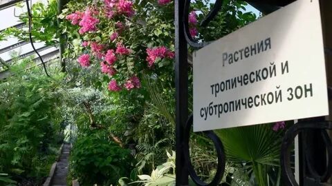 Ботанический сад чита