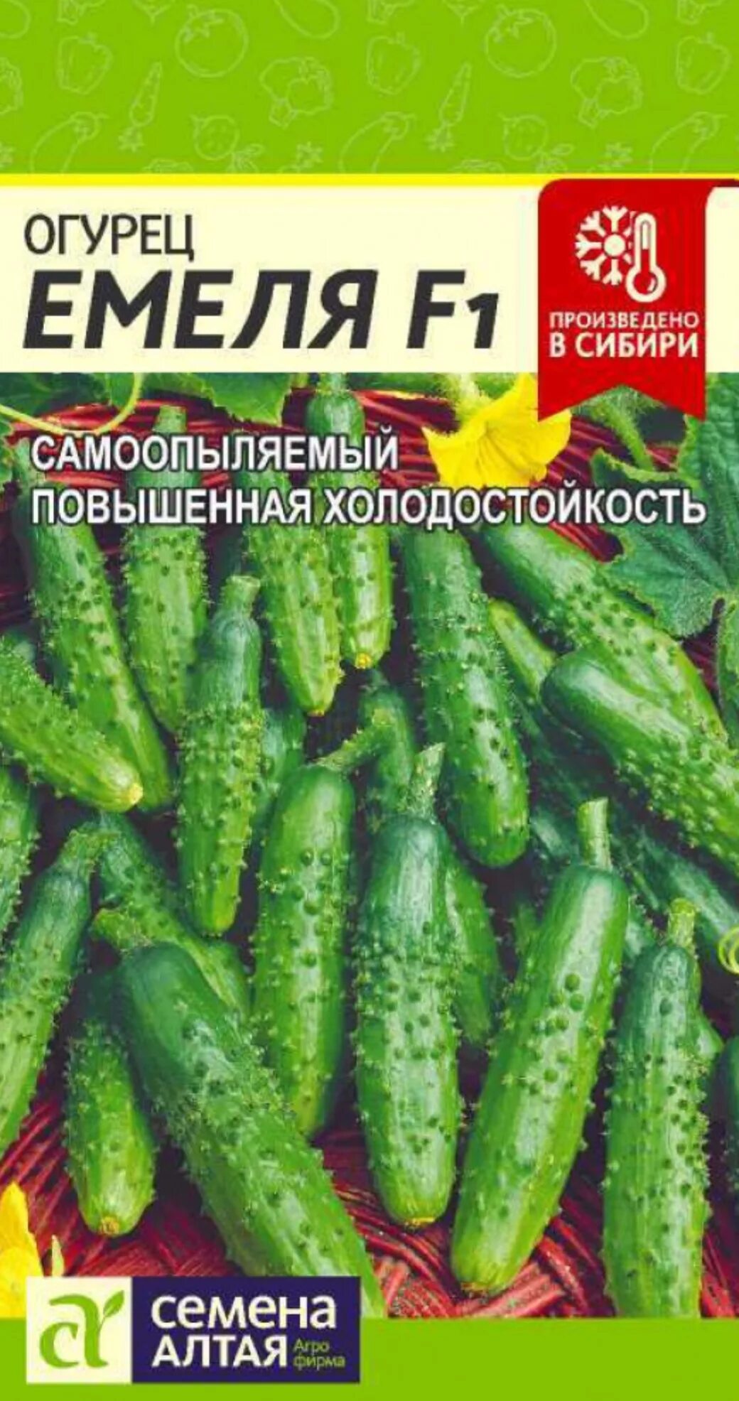 Огурец сорта емеля. Огурец сорта емеля