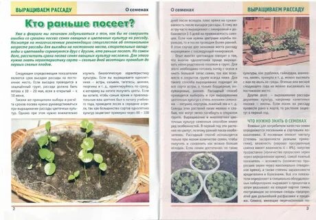 Через сколько дней взойдет