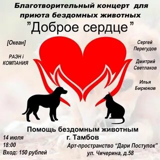 Мир добрых сердец приют для кошек