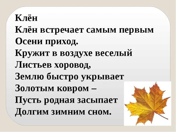 Стих листья дерева. Стих про клен. Стихи про клен для детей. Стихотворение про кленовый лист для детей. Стишок про осенний клён.