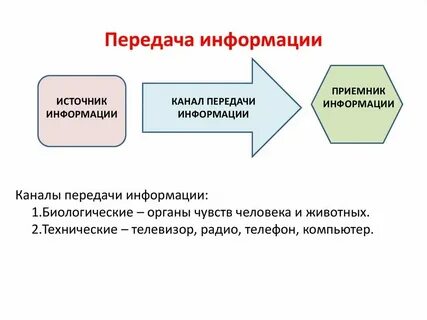 Информация передаваемая браузером