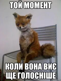 Момент коли