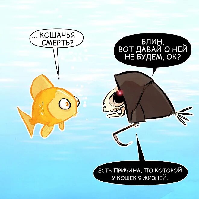 У кошек 1 жизнь. 9 жизней кошки. почему говорят что у кошек 9 жизней. у кошки девять жизней. почему у кота 9 жизней.