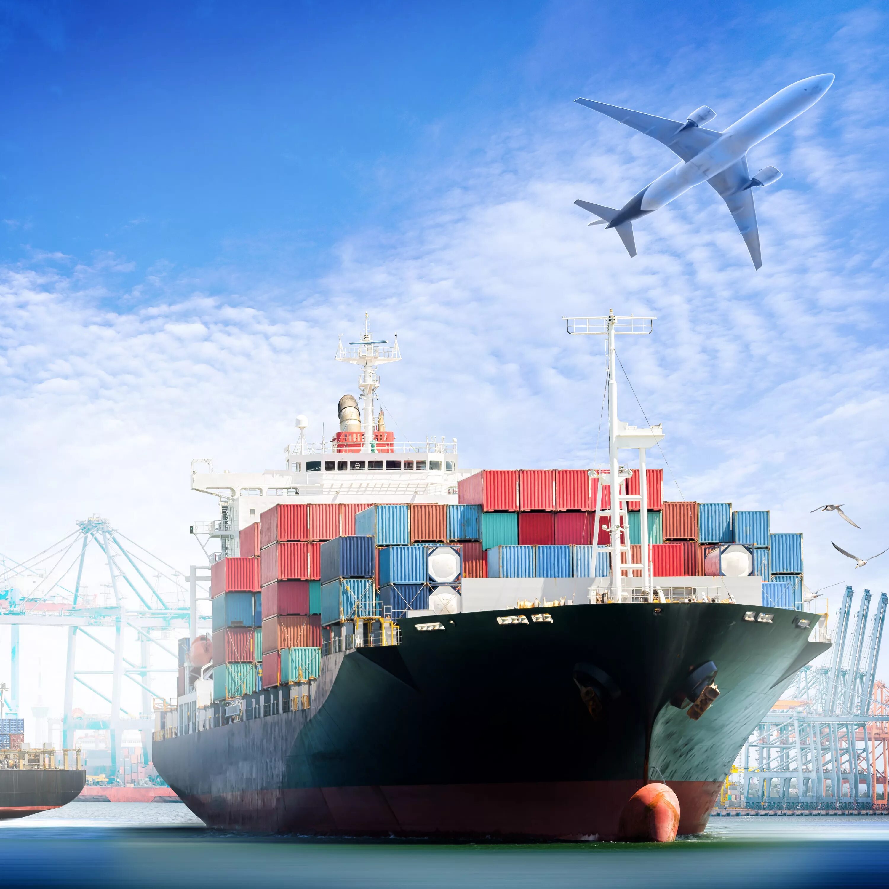 Ningbo youngor international trade transportation co ltd. Ningbo youngor international trade transportation co ltd