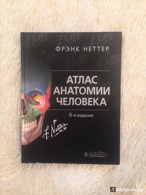 Фрэнк Неттер атлас анатомии человека 6 издание. Атлас Фрэнка Неттера 7 издание. Атлас анатомии Фрэнка Неттера. Атлас_анатомии_человека,Фрэнк_Неттер,_2018_г_. Фрэнк неттер атлас