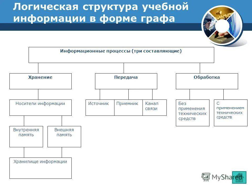 Логическая структура управления. Логическая структура управления