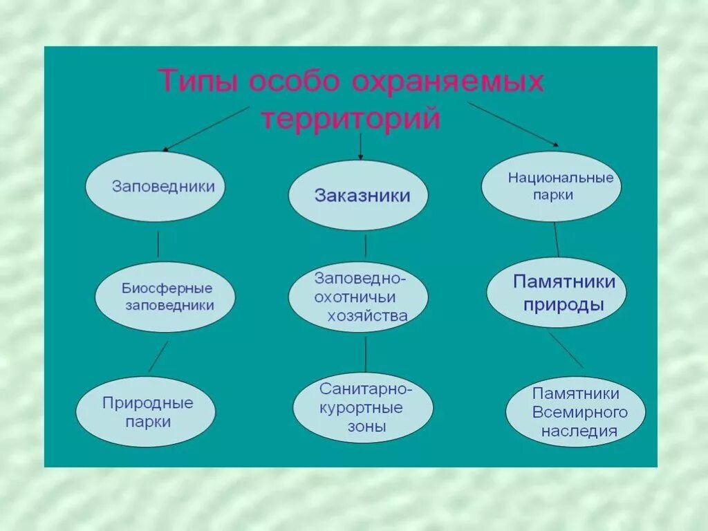 Особо охраняемые природные территории какие виды. Виды особо охраняемых природных территорий таблица. Схема виды особо охраняемых природных территорий России. Виды ООПТ заповедники. Типы заповедных территорий.