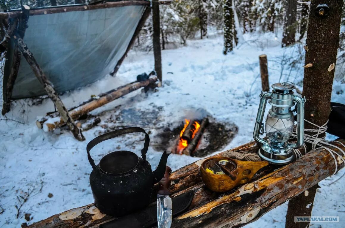 Чай в лесу зимой. Чаепитие в лесу зимой. Чай на костре. Чай на костре в лесу зимой. Шашлык самовар