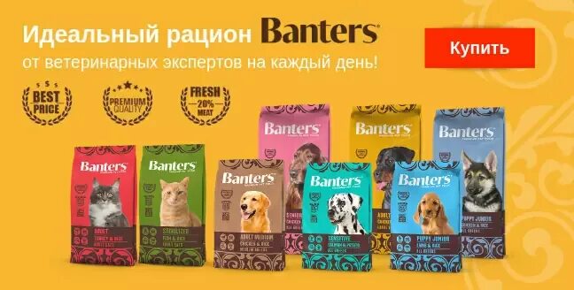 Зоопассаж интернет магазин корма для животных. Сухой корм для кошек banters. banters корма логотип. баннер корма для собак +подарок. новинка баннер корм.