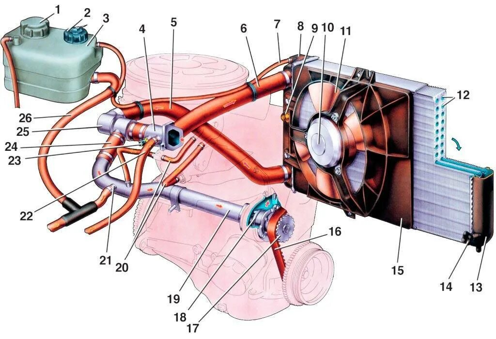 Система охлаждения ваз 2114 инжектор 8. Патрубок антифриза 2114. Система охлаждения двигателя ваз 1118. Охлаждение двигателя ваз 2114. Малый круг системы охлаждения ваз 2114.