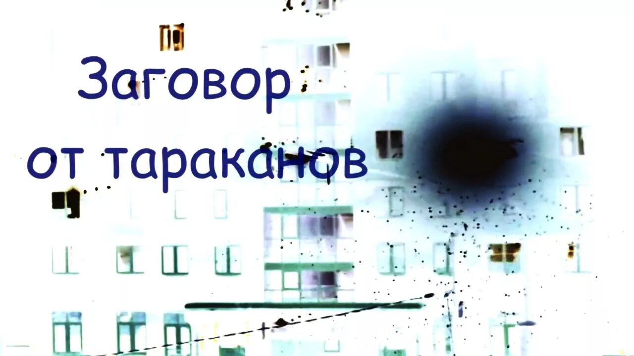 Заговор от тараканов. Заклинание от тараканов. Шепоток от тараканов. Заговор от тараканов читать. Заговор от тараканов в квартире