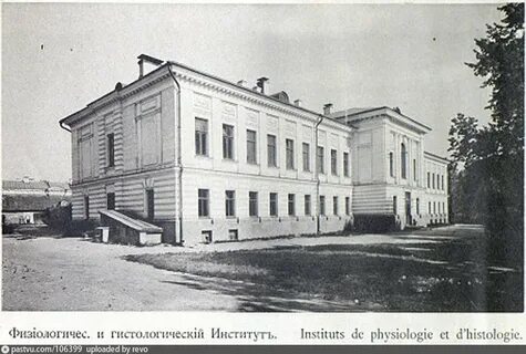 Физиологическая школа