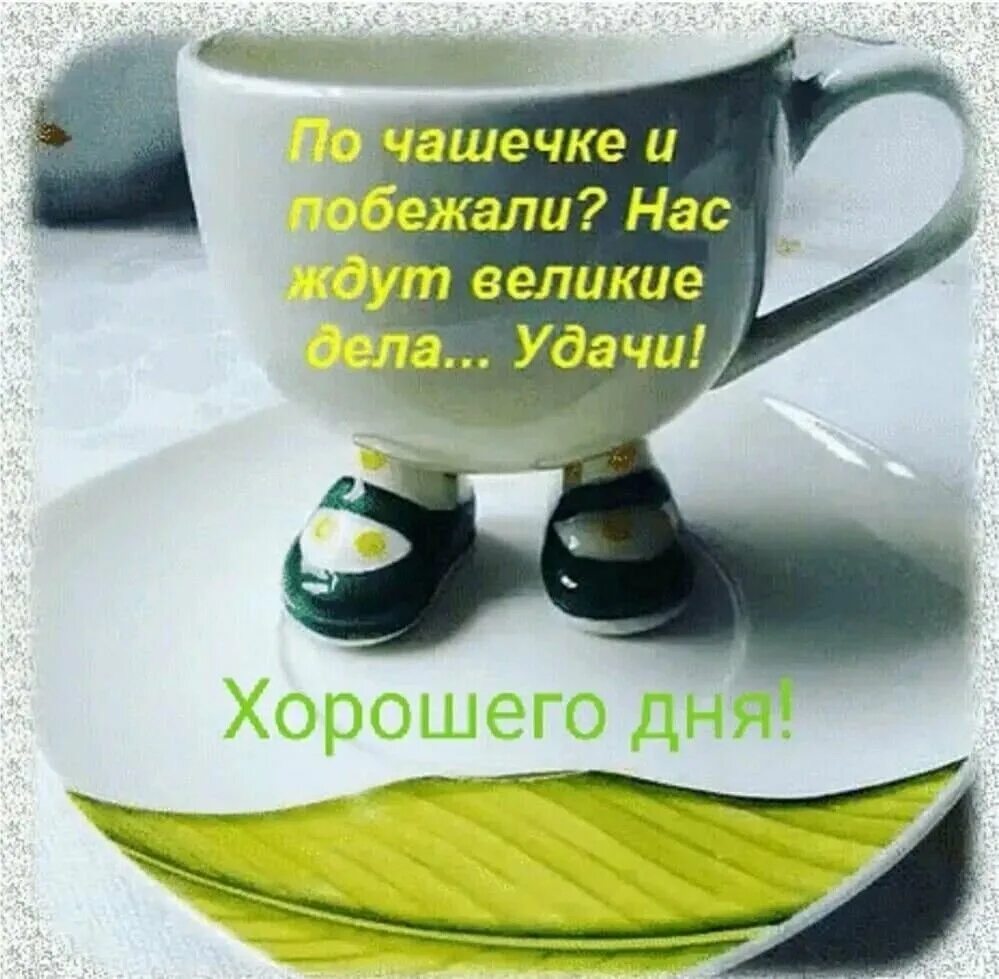Хорошего дня утра картинки прикольные. Доброе утро удачи. Доброго дня и удачи в делах. Доброе утро удачи в делах. Доброе утро удачи во всем.