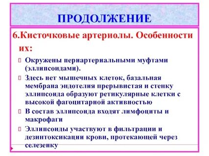 Продолжение 6