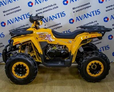 Avantis 200 big lux