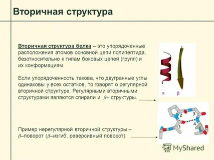 Нерегулярная вторичная структура