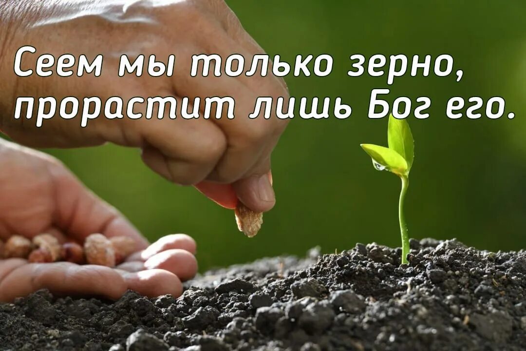 Что посеял то и получай