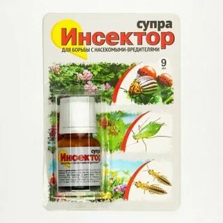 Инсектор