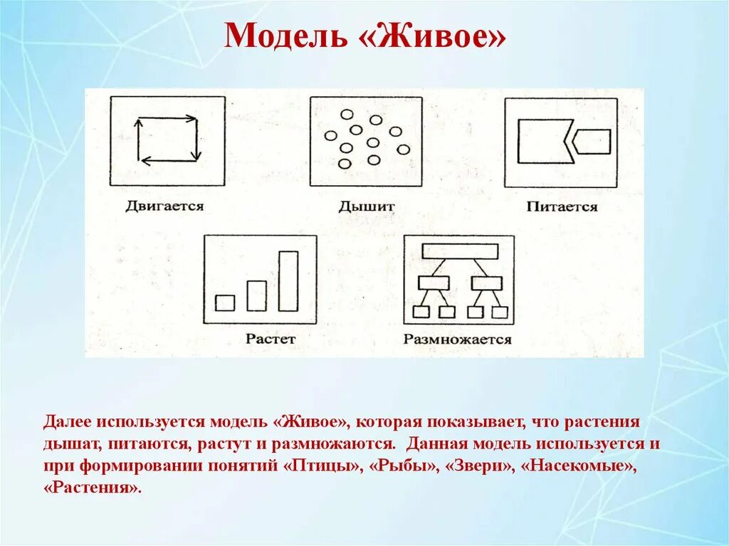 Живое моделирование. Живые модели. Технологии моделирования логотипы. В представленной модели использована