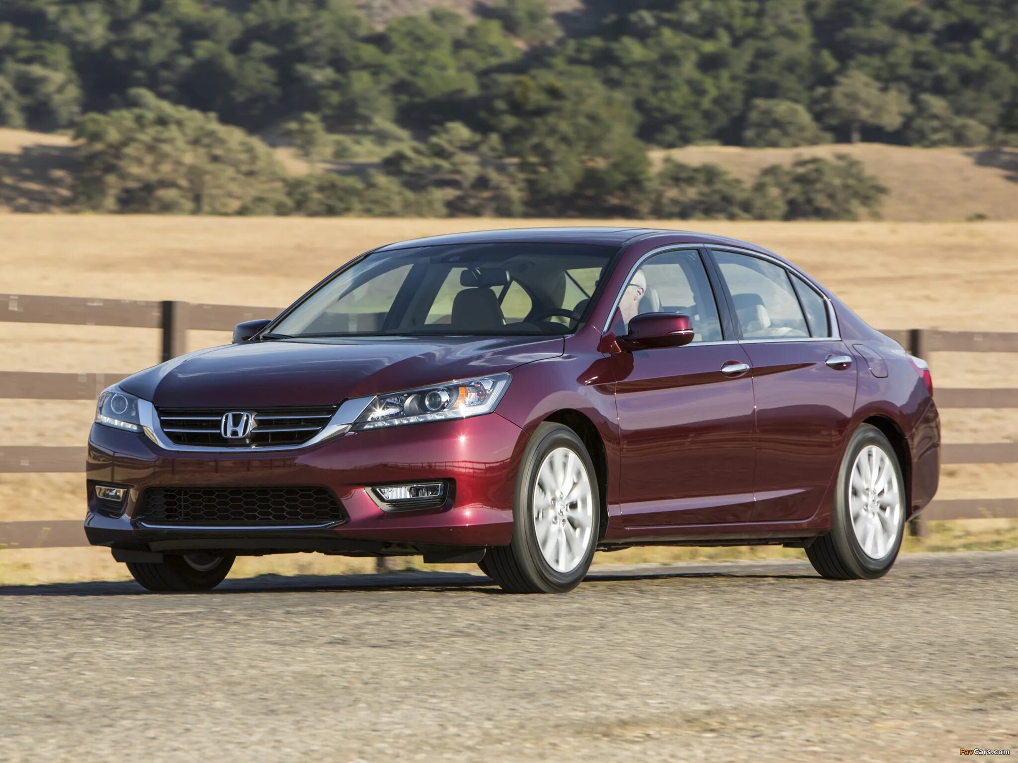 Хонда чье производство. Хонда цивик 2022 купе. Honda accord 2013. Honda crider 2023. Honda civic 2013.